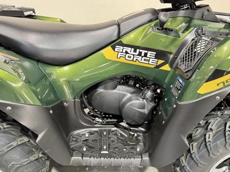 2026 Kawasaki Brute Force® 750 SE EPS
